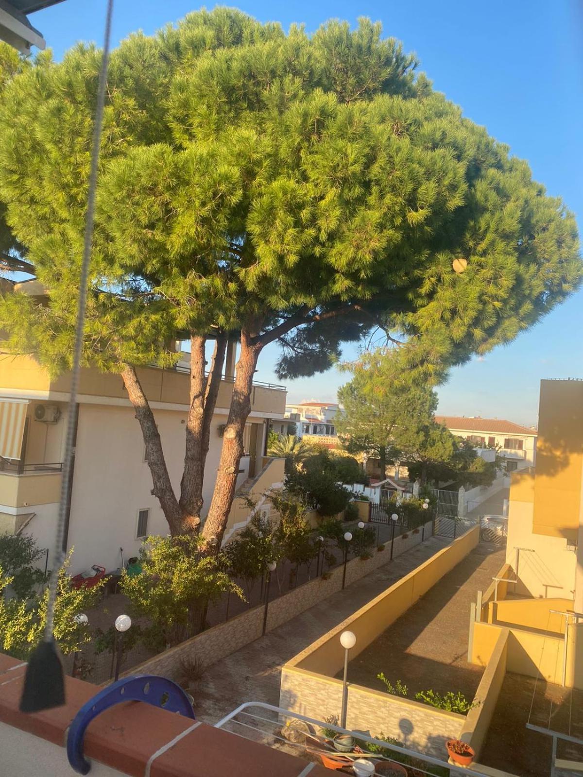 Villa Maniva Marina di Ginosa Екстериор снимка